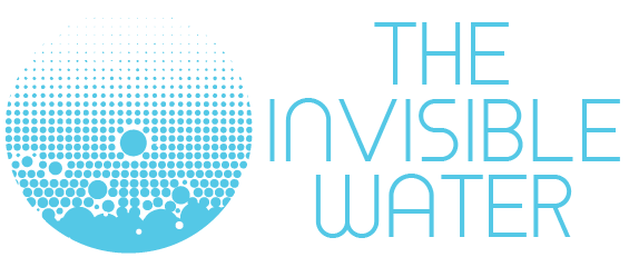 The Invisible Water Logo